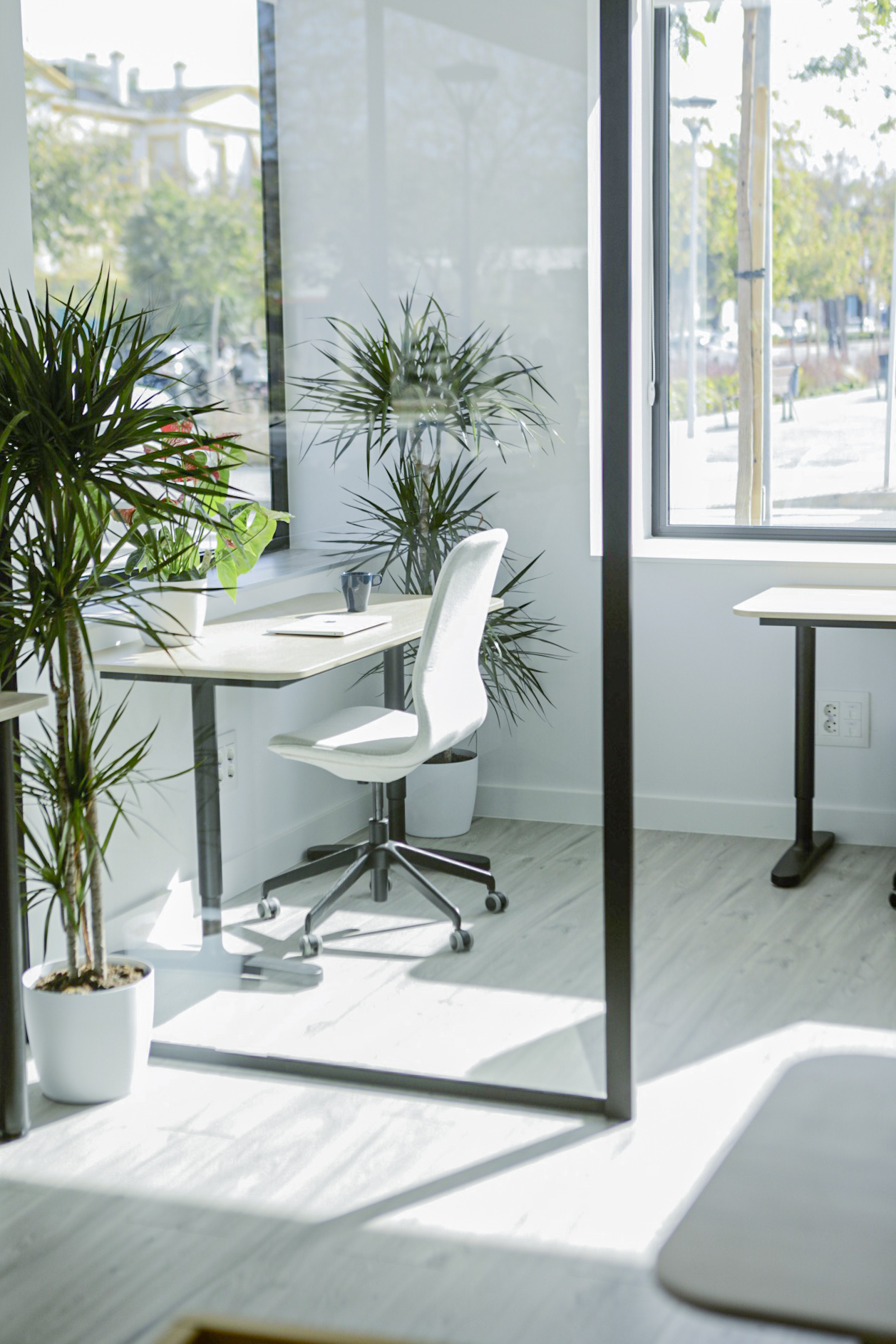 Oficinas privadas en Concept Coworking